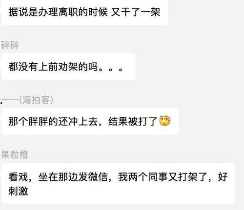 吃瓜群众的视频大全,揭秘娱乐圈幕后故事